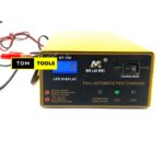 Full Automatic 12V 24V Car Battery Charger 250W Trickle Charger with  Intelligent Pulse Repair Maintainer