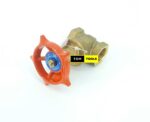 0.5 Inch Gate Valve