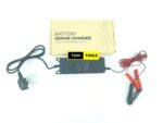 Battery Repair Charger with Vulcanization Removal Technique