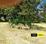 Organic Boma Rhodes Hay Bales